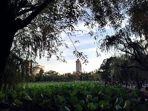 Kunming - Parc Cuihu - 70